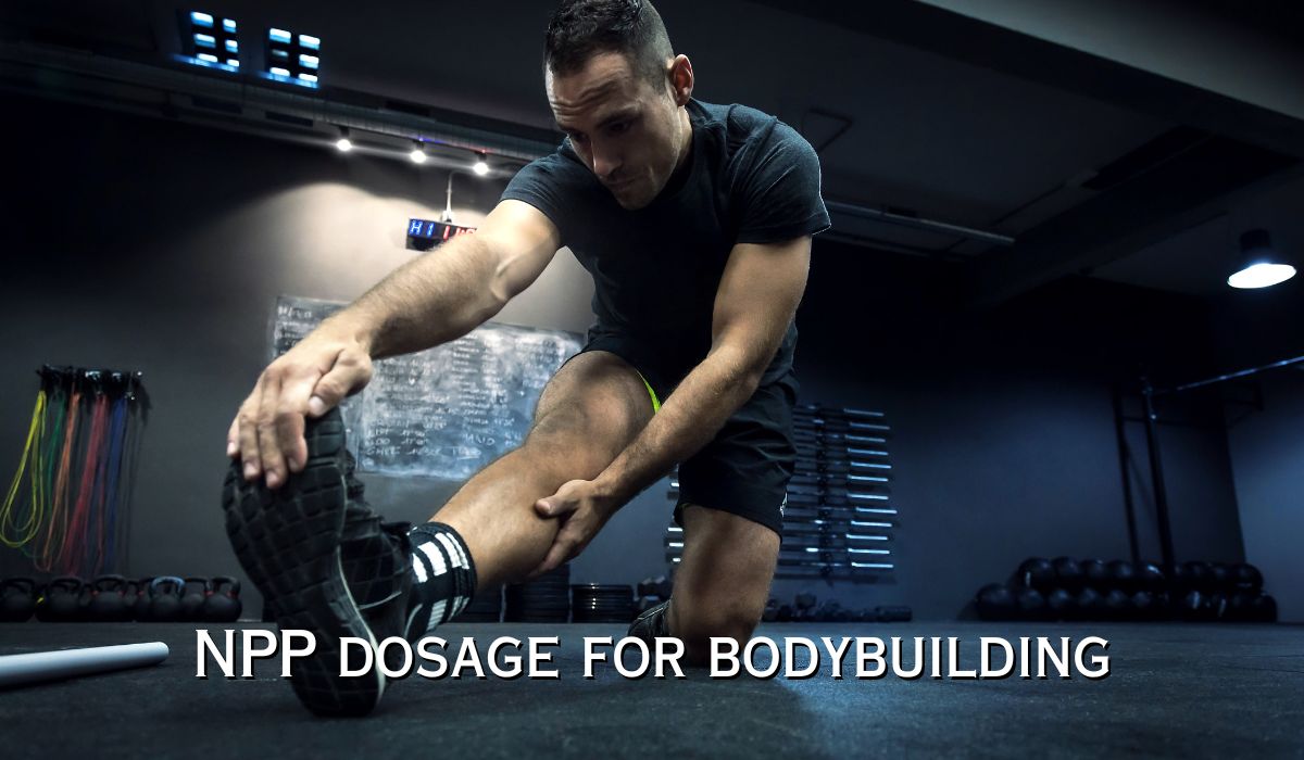NPP dosage for bodybuilding